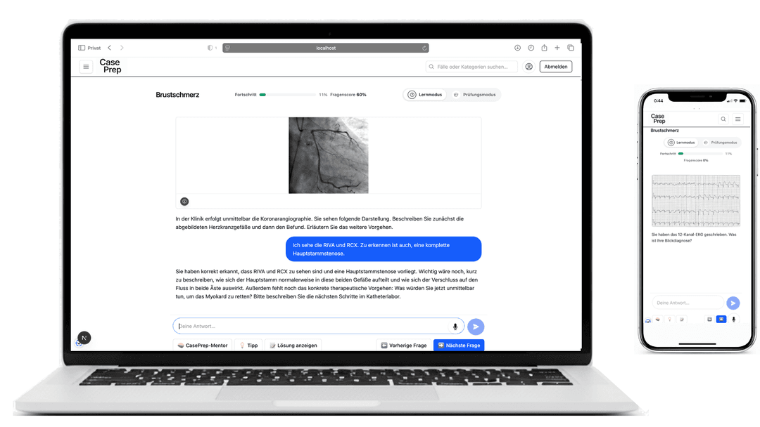 Dummy-Grafik eines Fallsimulations-Dashboards